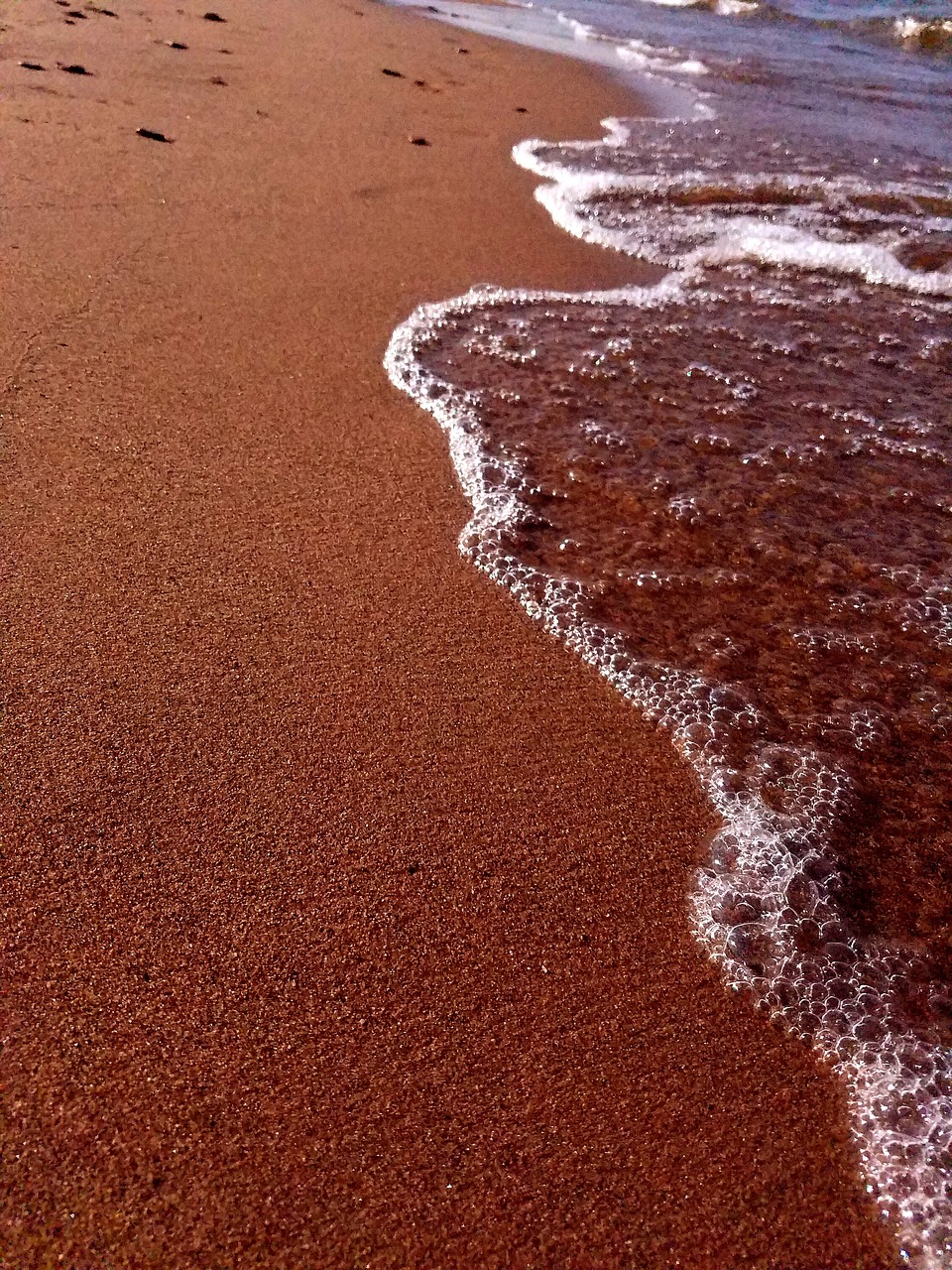 sand beach seashore free photo