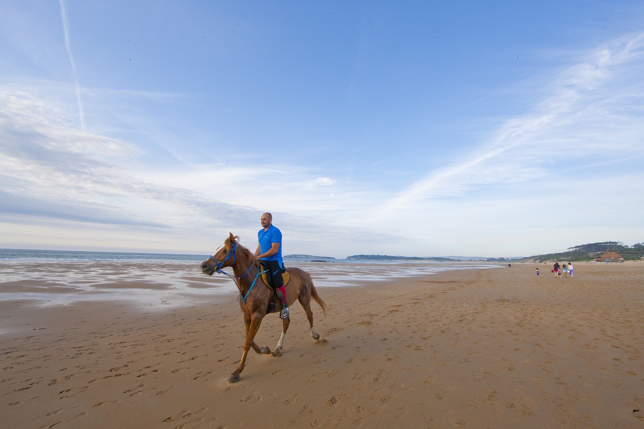 sand beach sea free photo