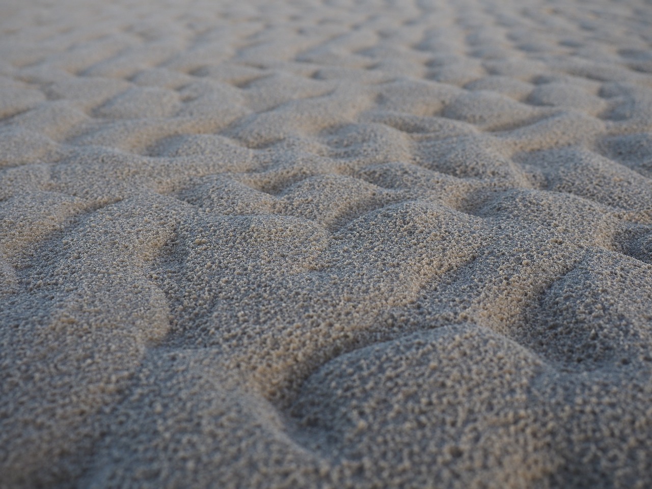 sand beach coast free photo