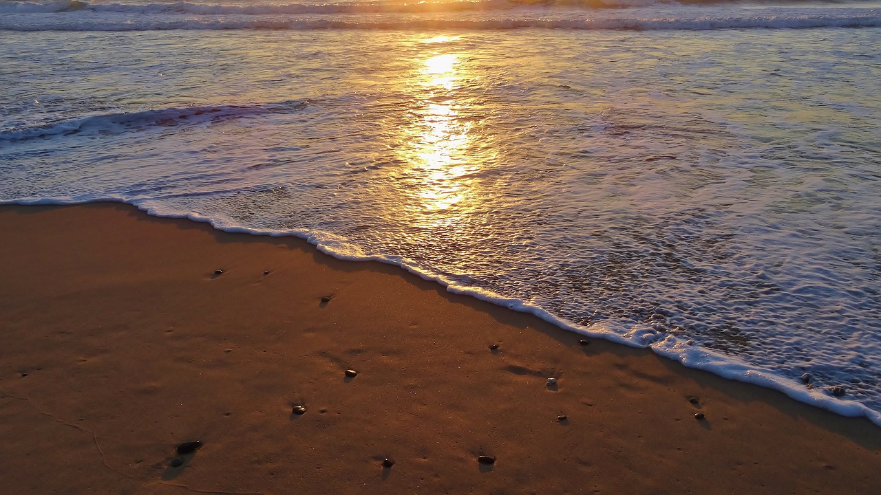 sand beach seashore free photo