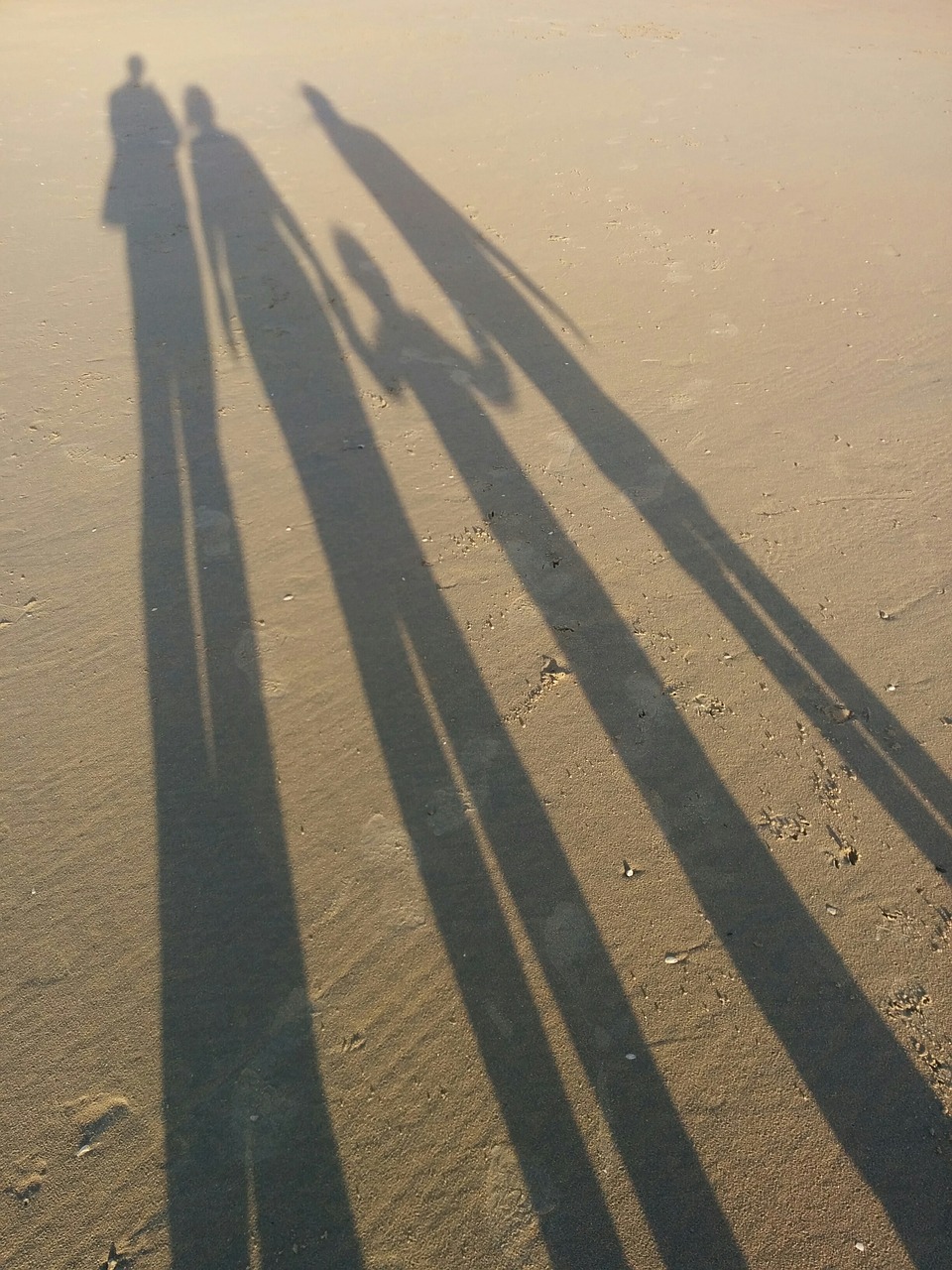 sand beach shadow free photo