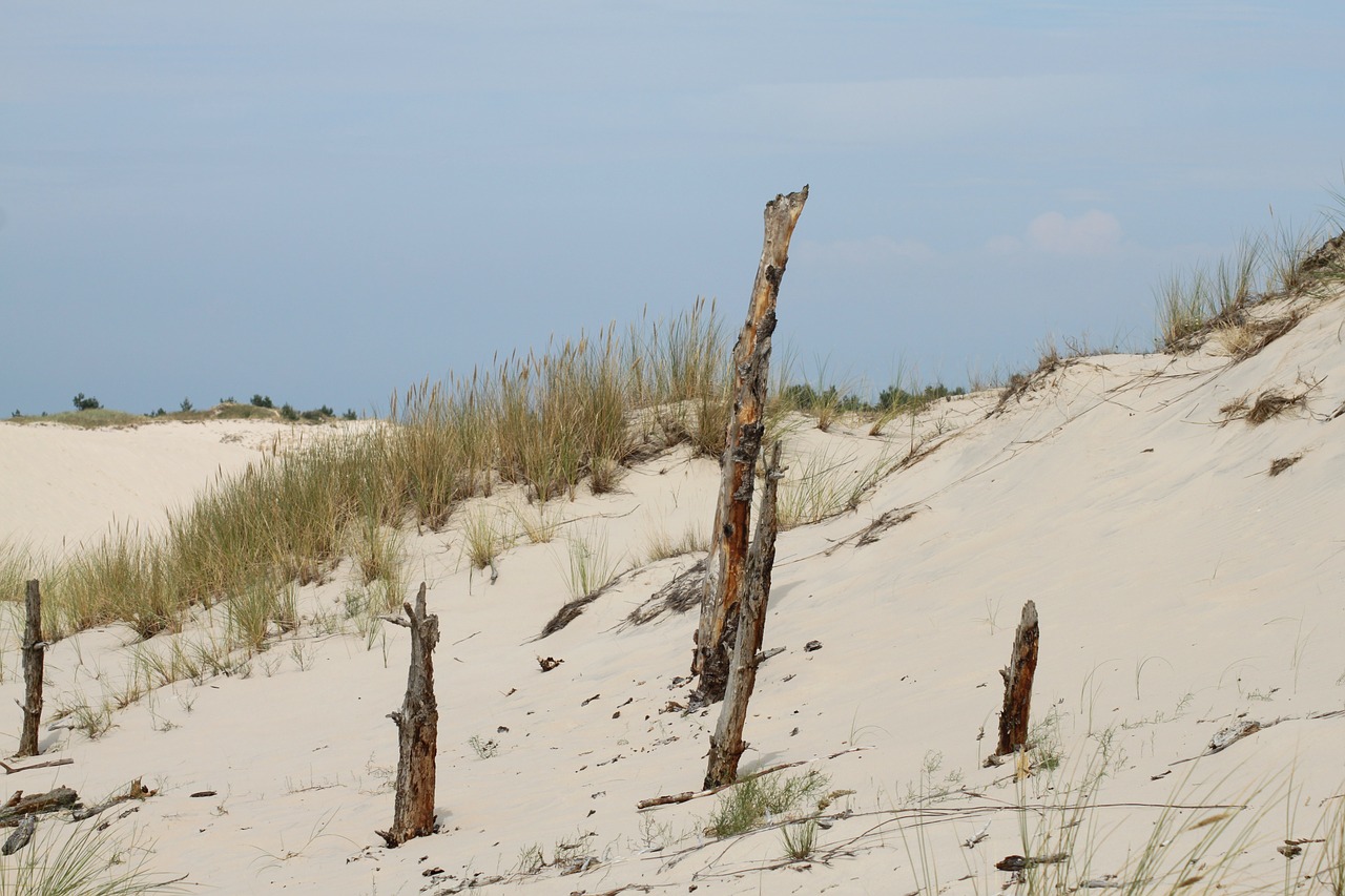 sand beach sea free photo