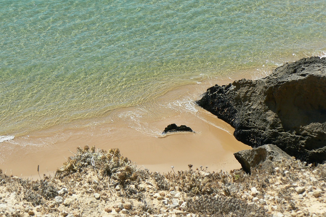 sand side body of water free photo