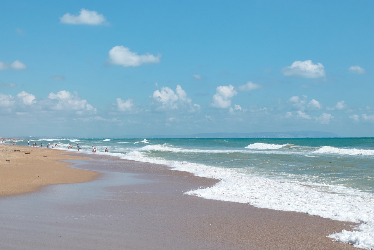 sand beach water free photo