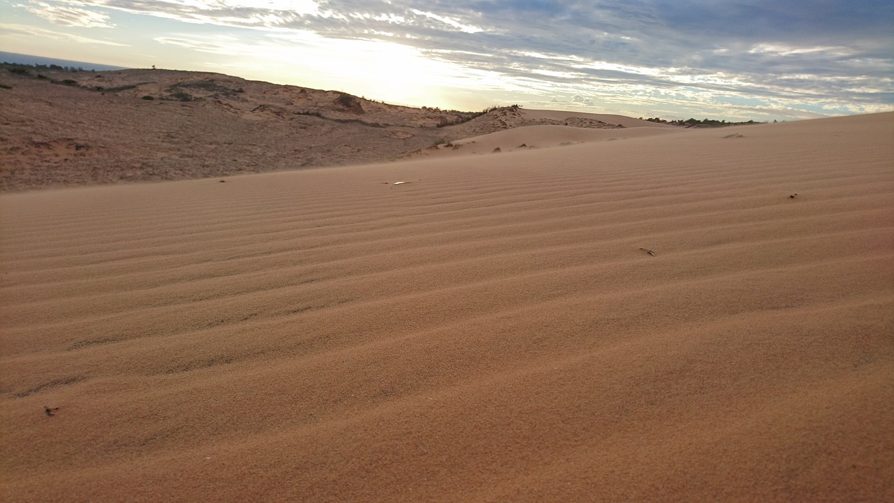 sand desert dune free photo