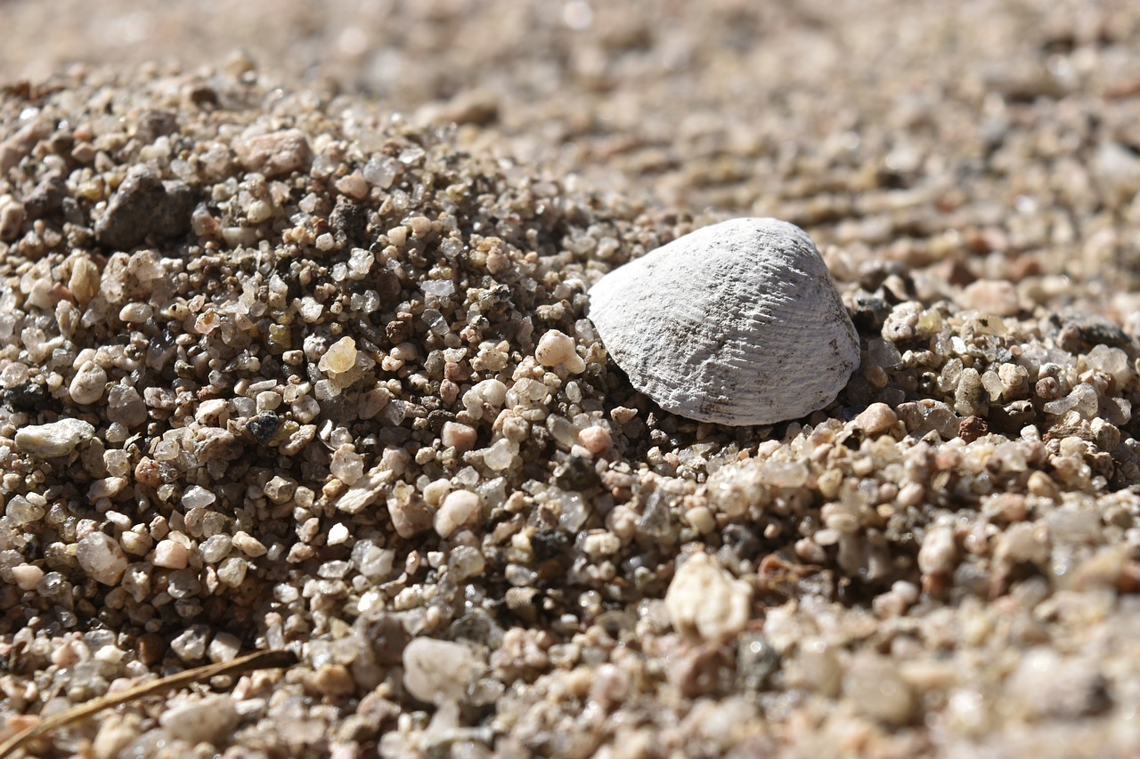 sand stone nature free photo