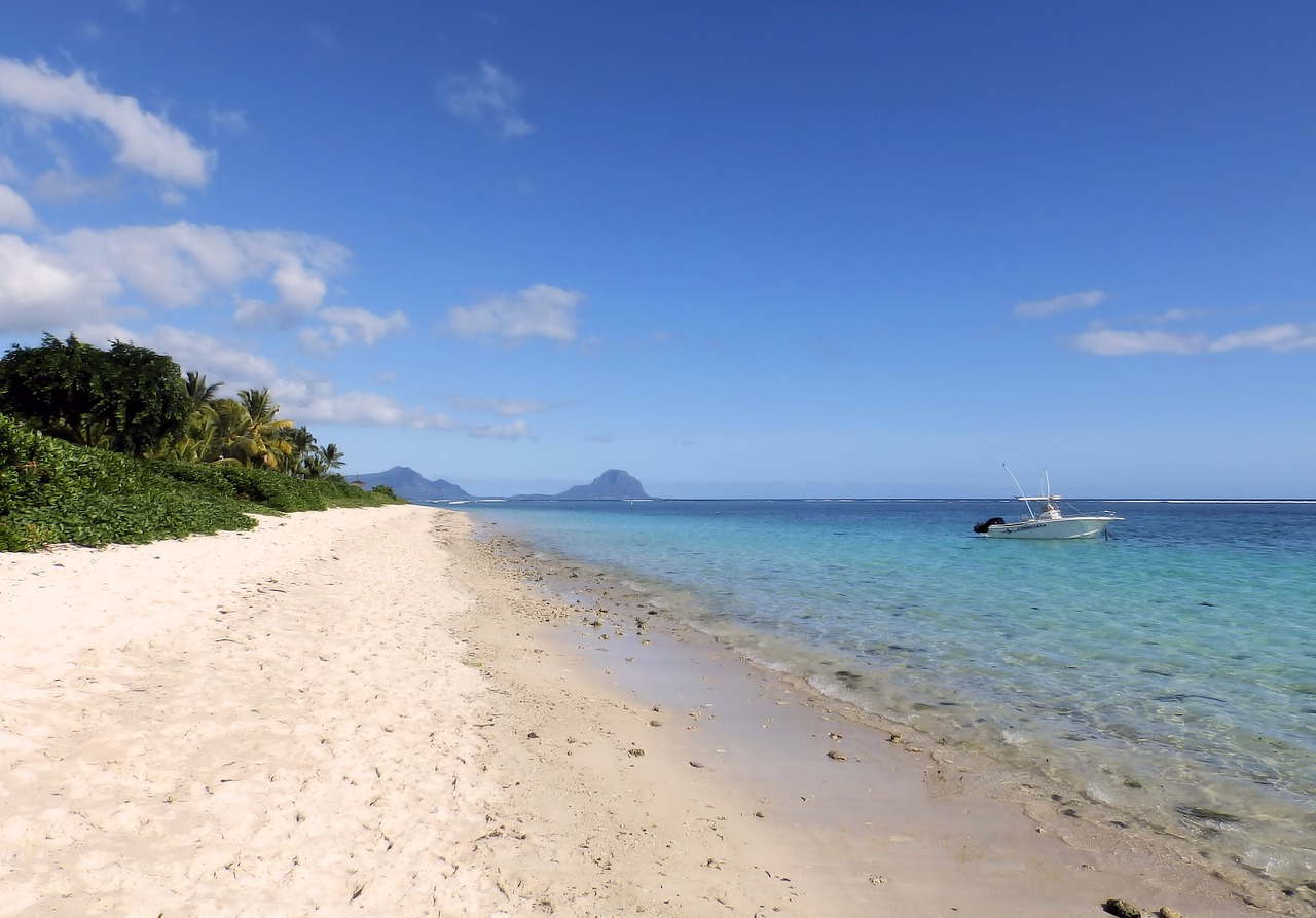 sand beach summer free photo