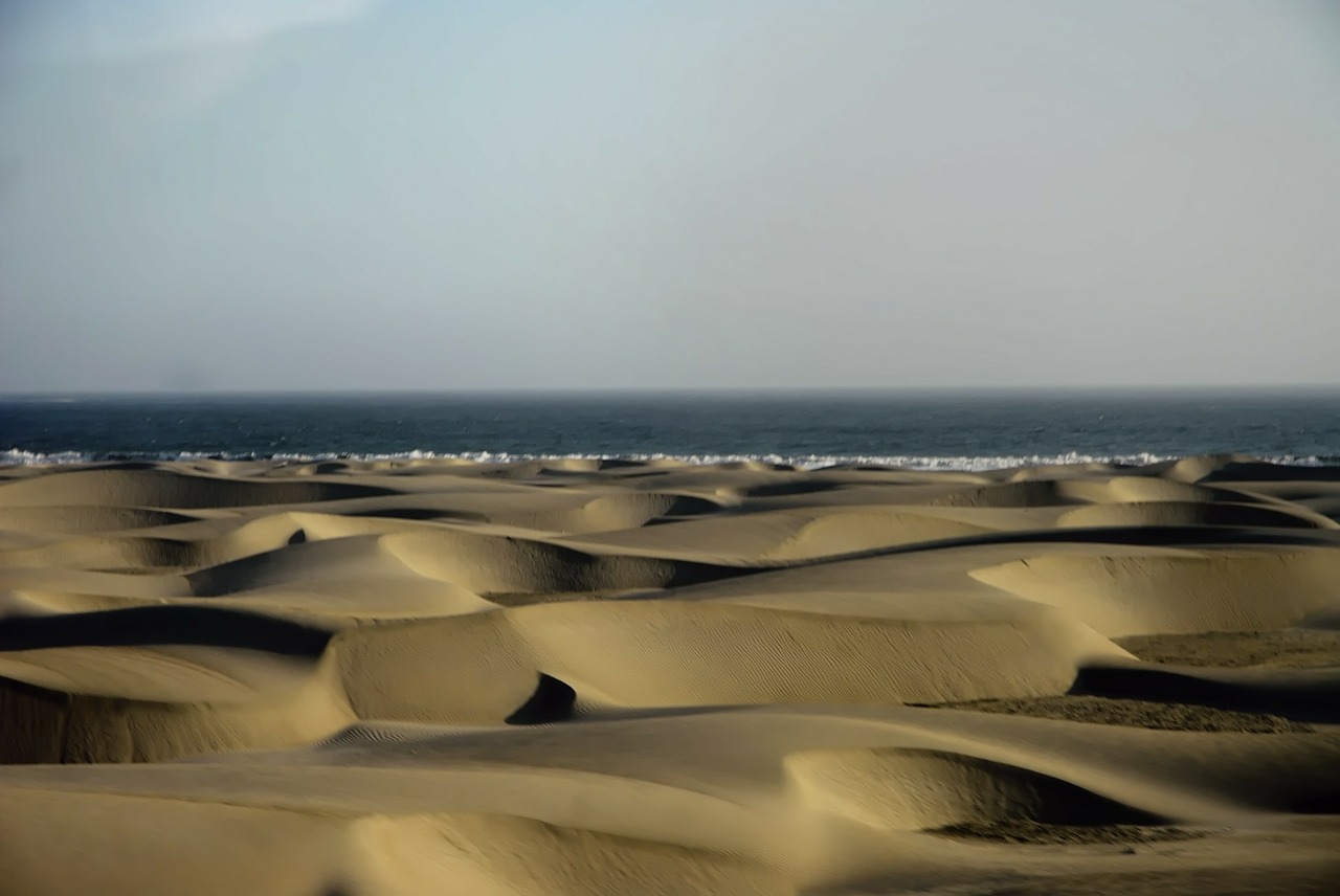 sand dunes desert free photo