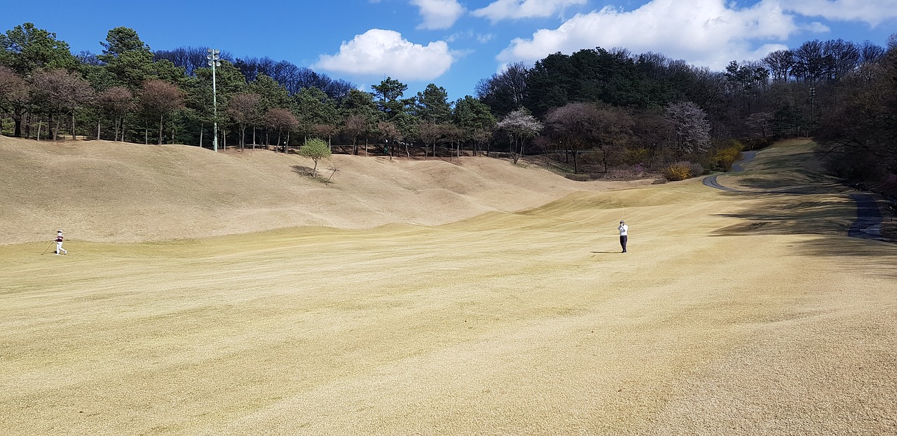 sand  nature  scenery free photo