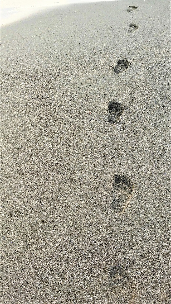 sand  beach  footprint free photo