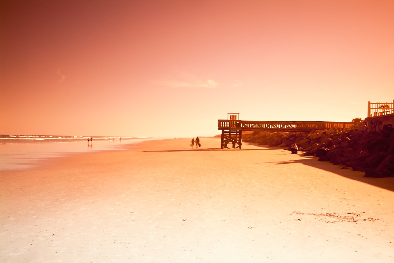 sand  beach  sea free photo