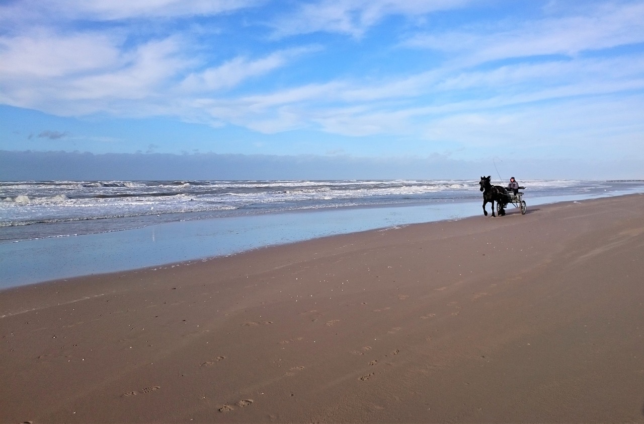 sand  waters  beach free photo