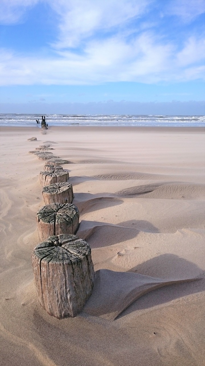 sand  beach  coast free photo