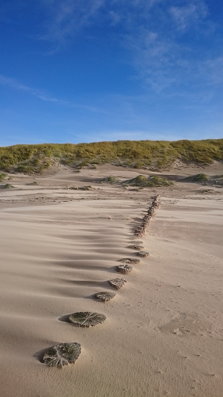 sand  nature  panorama free photo