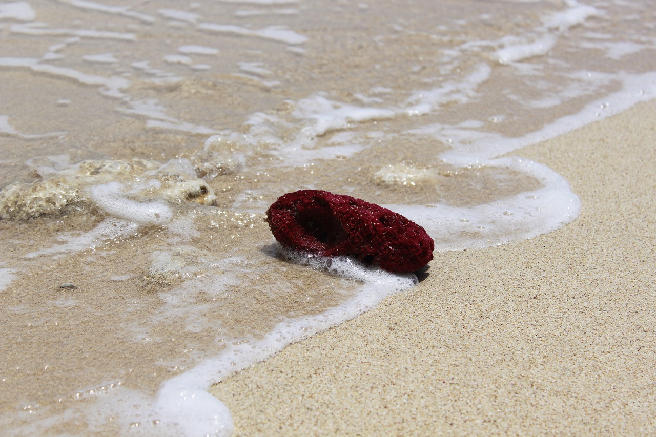 sand  beach  body of water free photo