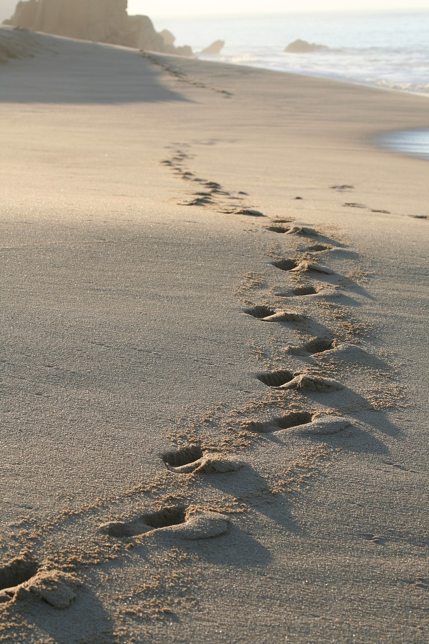 sand  beach  seashore free photo