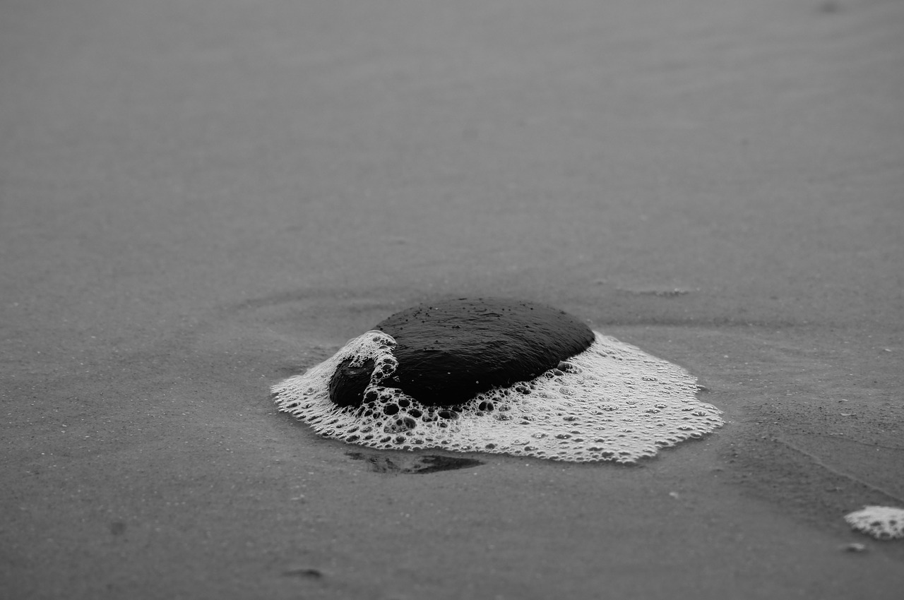 sand  beach  stone free photo