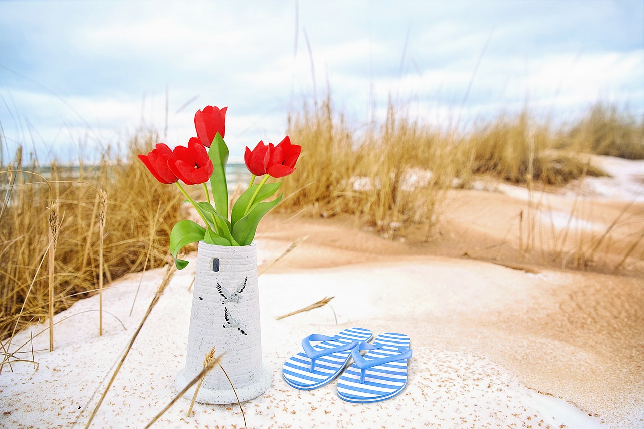 sand  beach  flip flops free photo