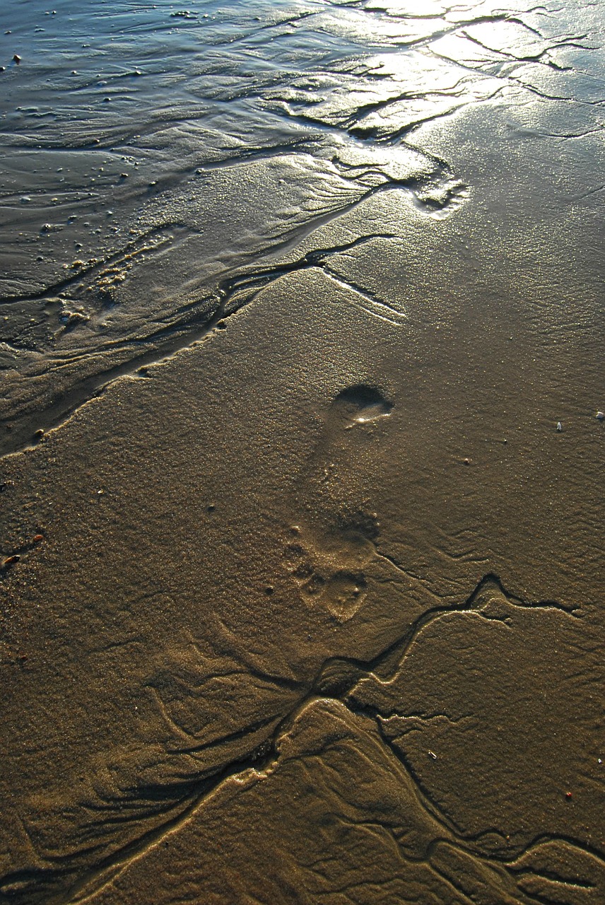 sand beach summer free photo