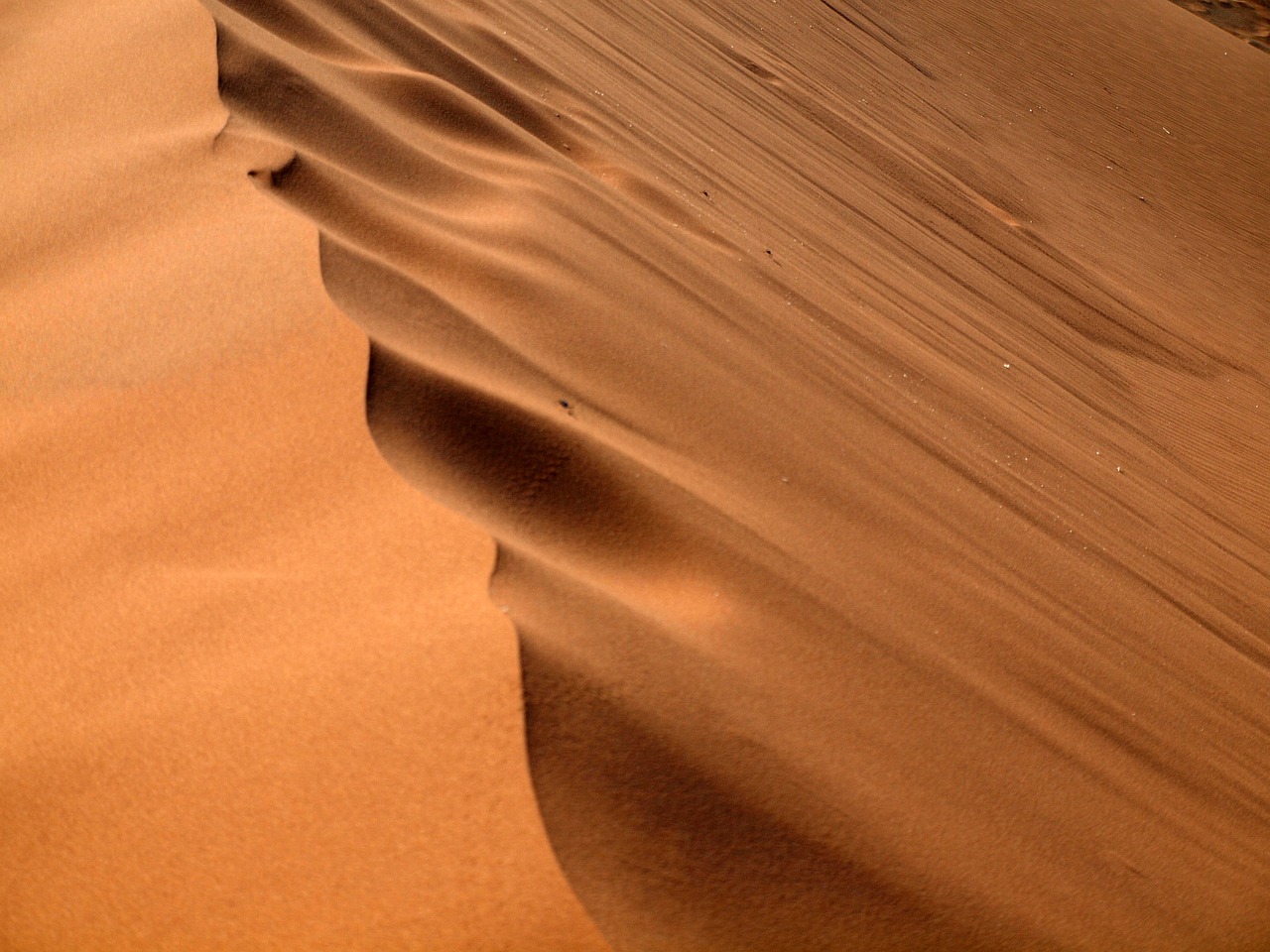 sand  desert  sand dune free photo