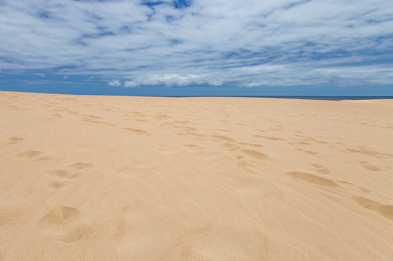 Sand beach отзывы. Пустыня и море. Пустынный Бич. Песок в воздухе. Пустынное море.