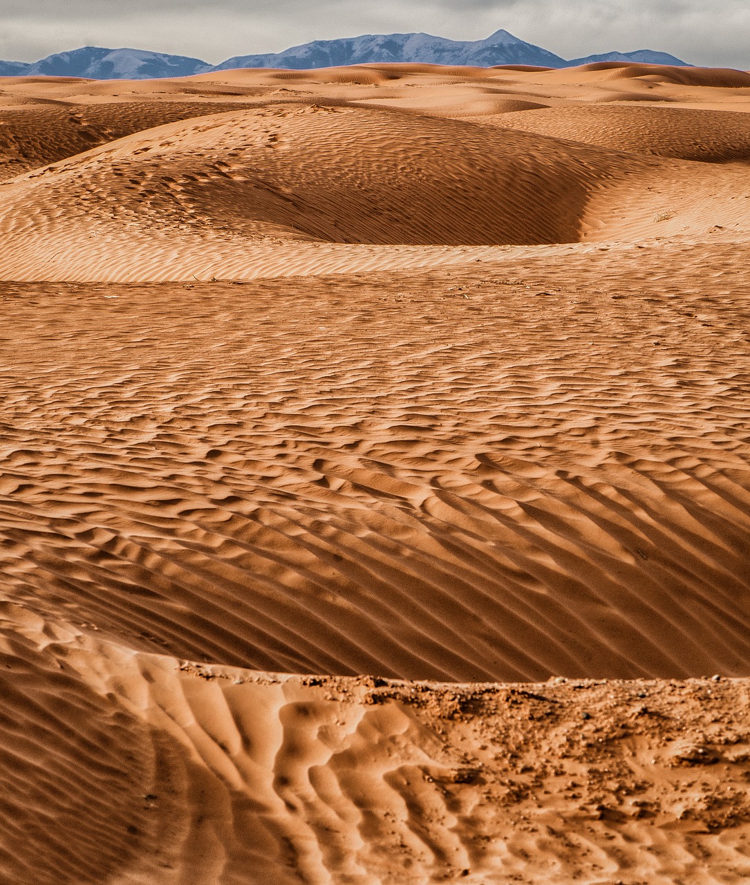 sand  sand dunes  d free photo