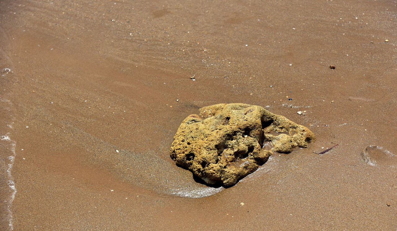 sand  beach  rock free photo