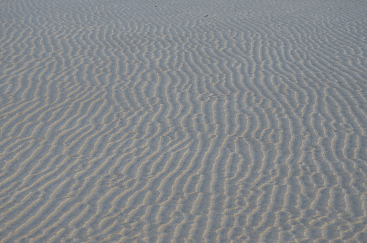 sand  ripples  texture free photo