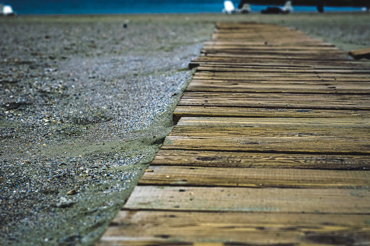 sand  wood  beach free photo