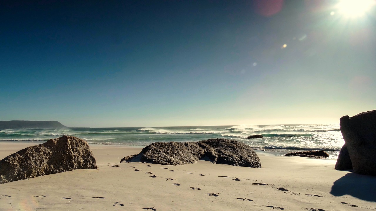 sand  beach  footprints free photo