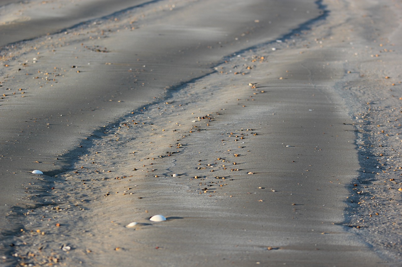 sand  waves  beach free photo