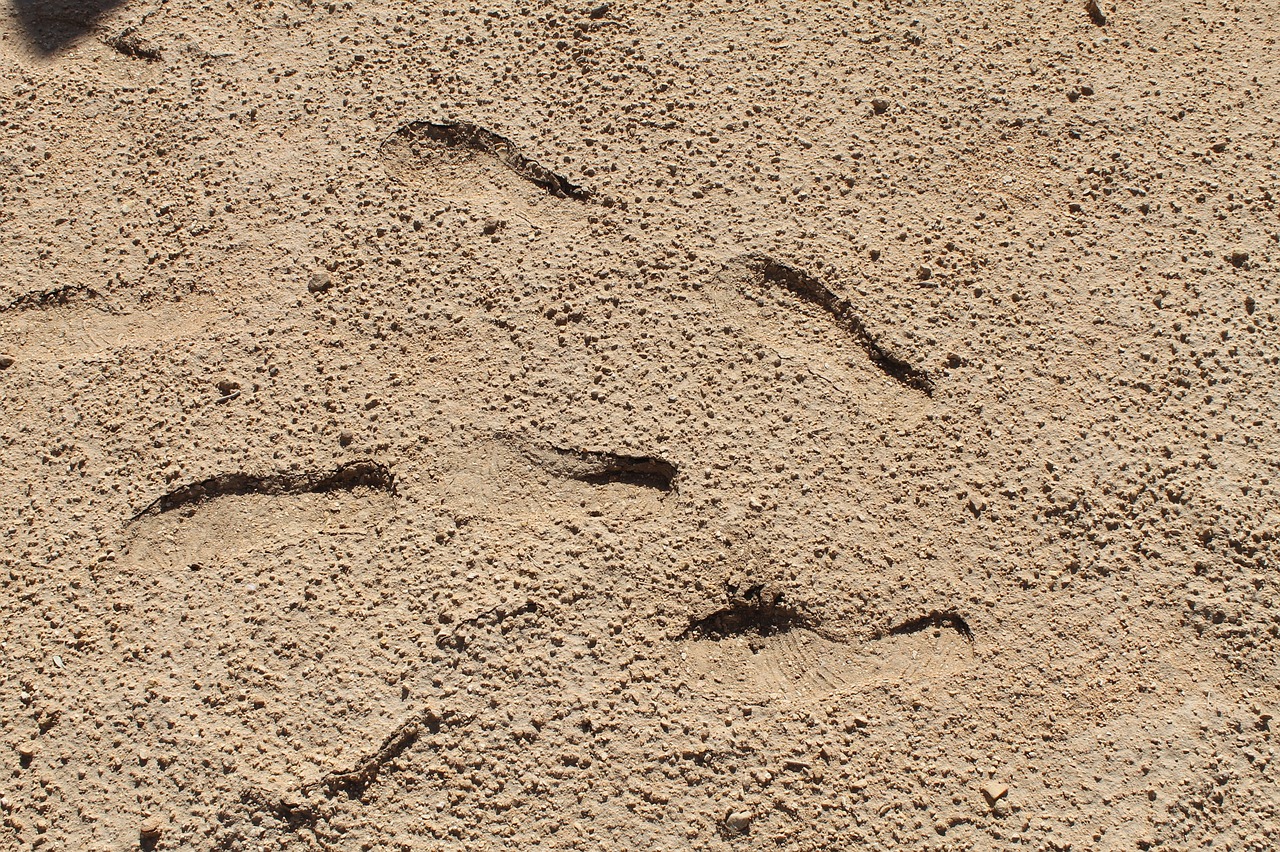 sand  saudi arabia  footprints in the sand free photo