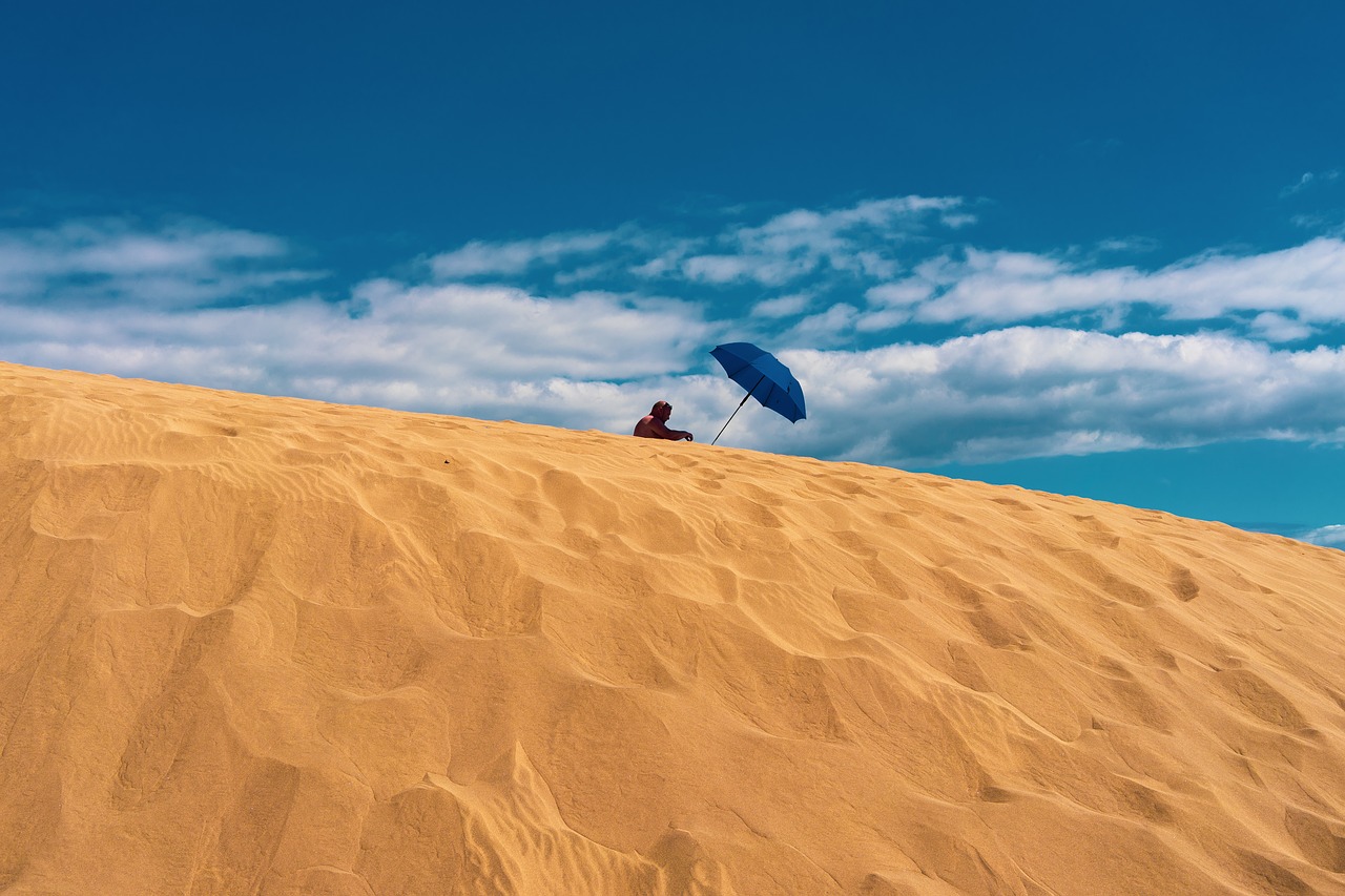 sand  dune  landscape free photo