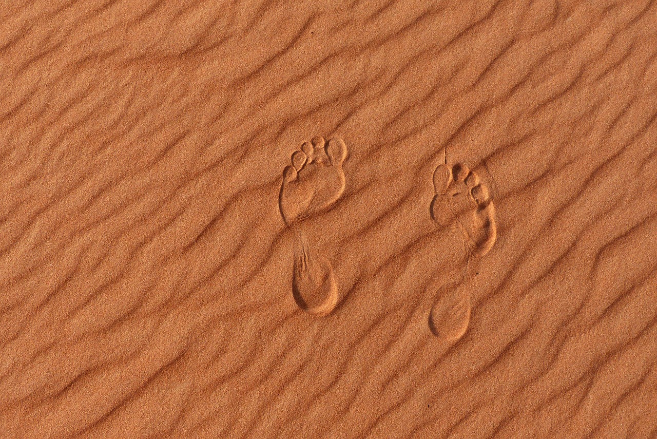 sand  dunes  feet free photo