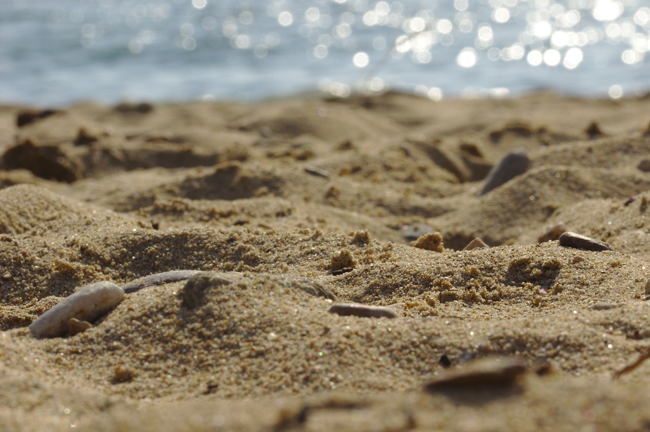 sand  great  beach free photo