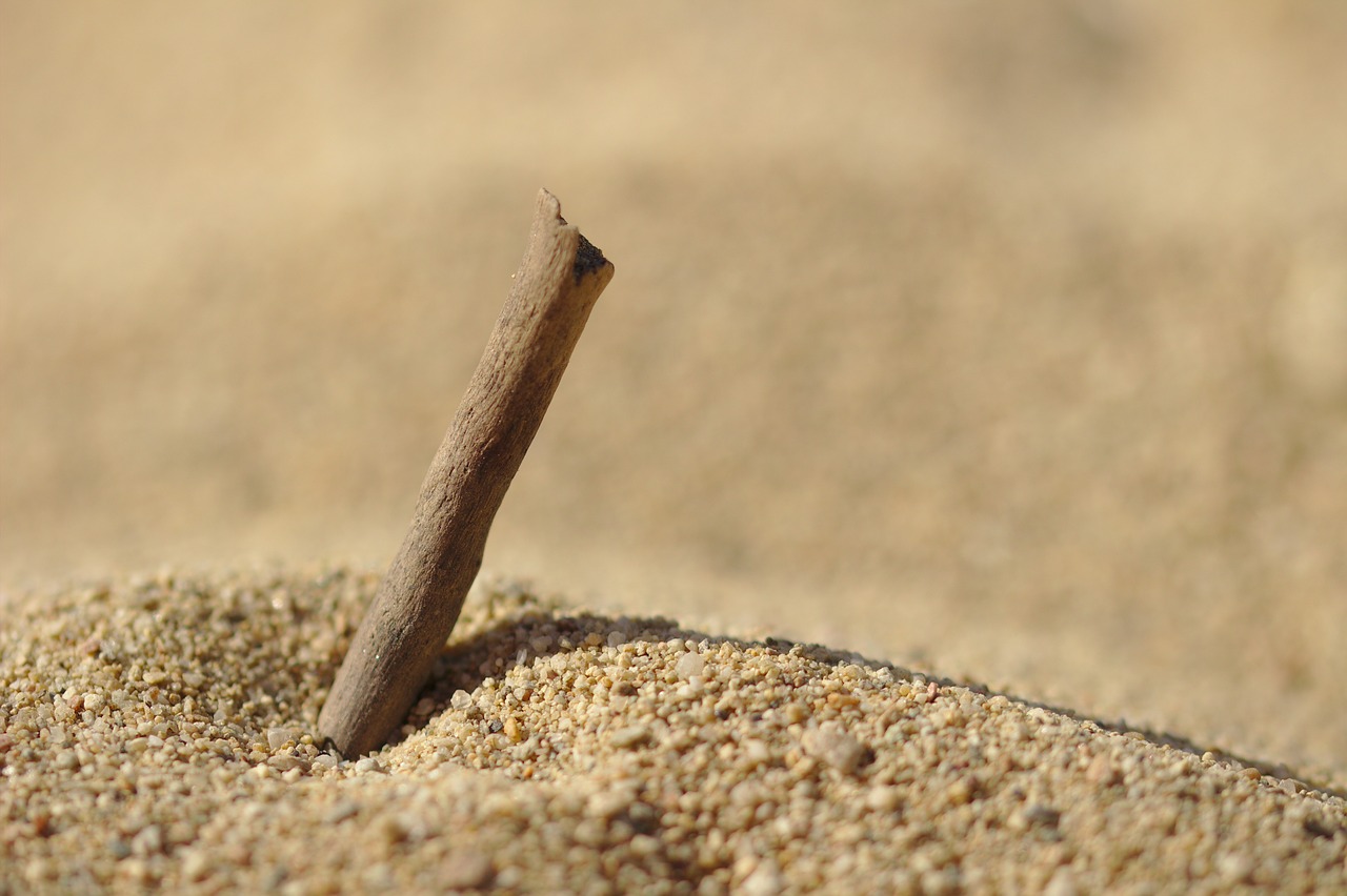 sand  great  beach free photo