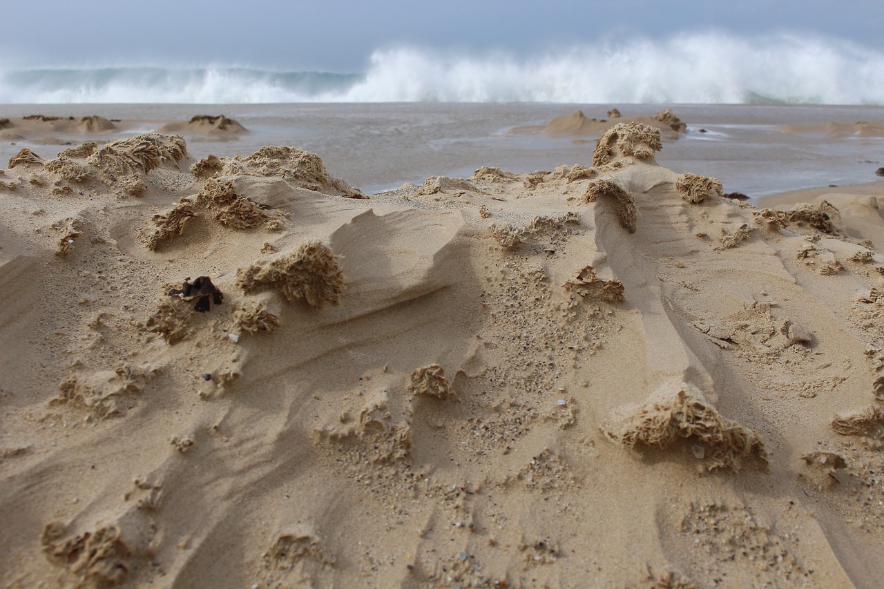 sand  sea  wave free photo