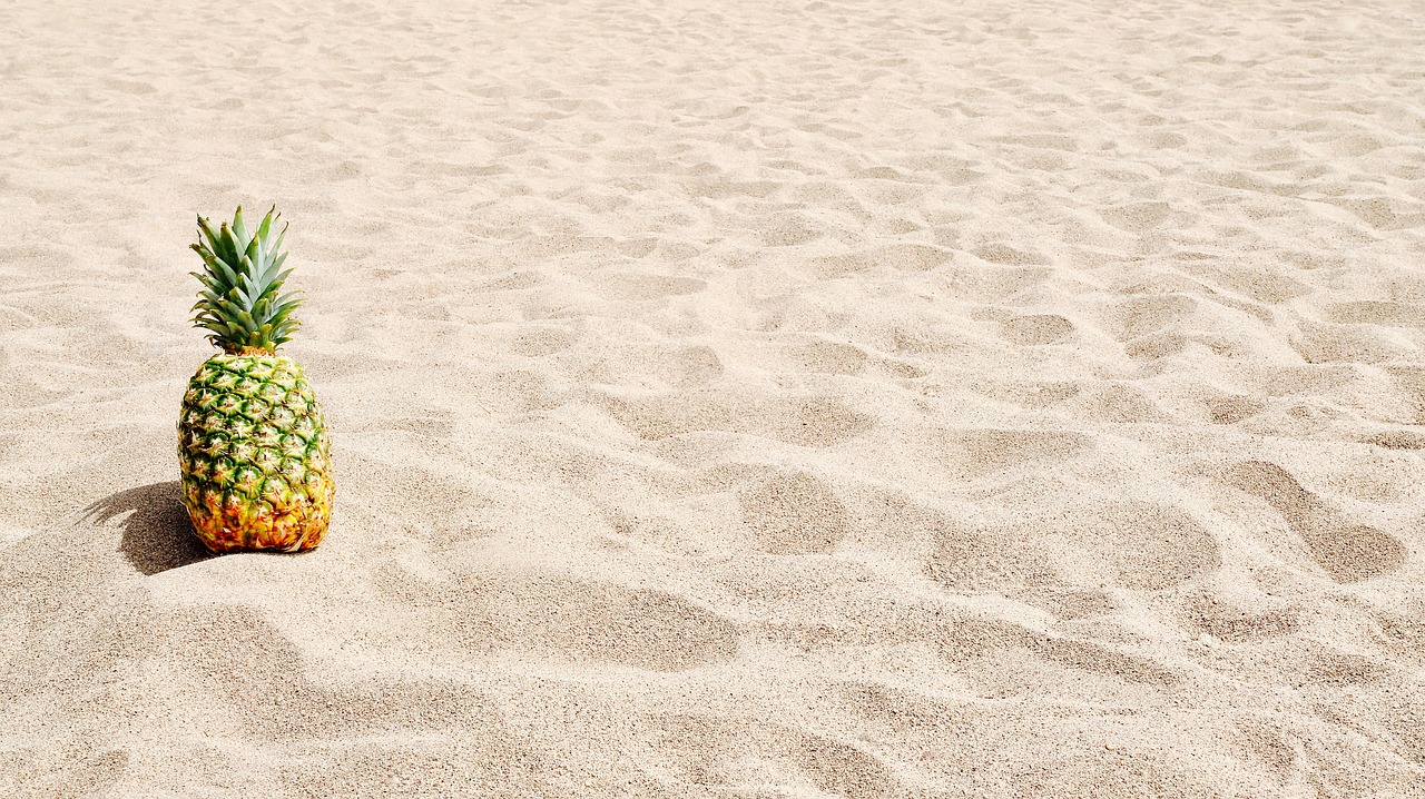 sand  pineapple  beach free photo