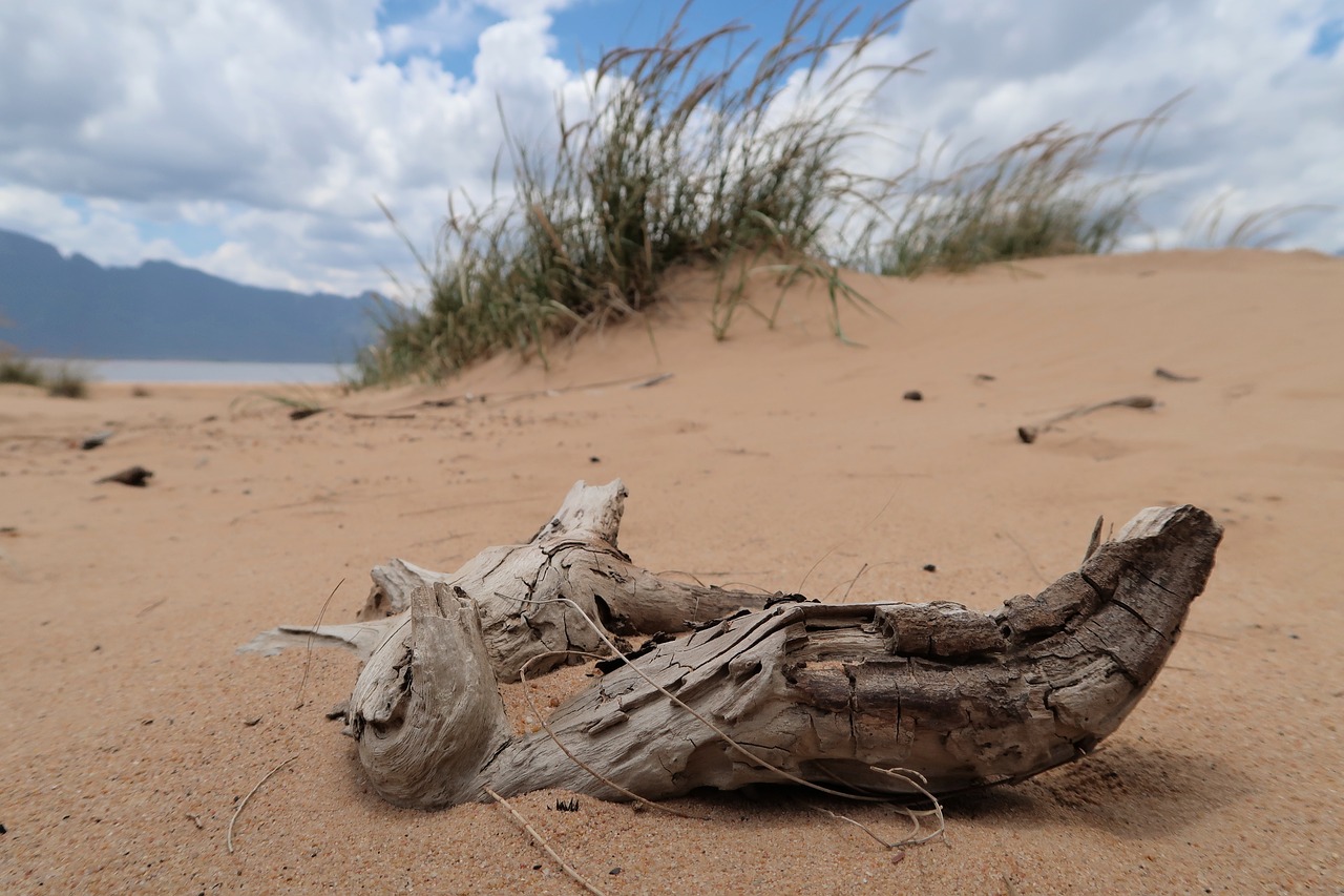 sand  south africa  reservoir free photo