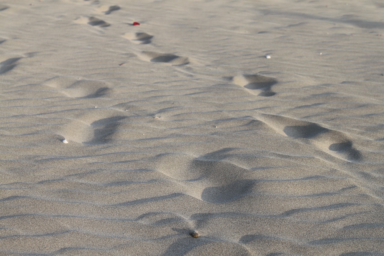 sand  footprints  walk free photo