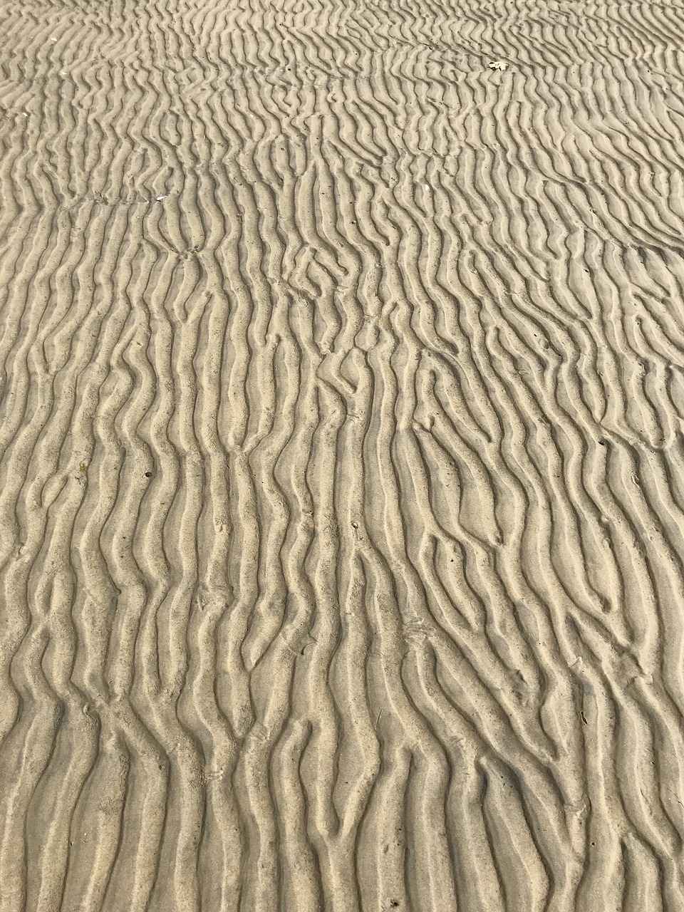 sand  nature  ripple free photo