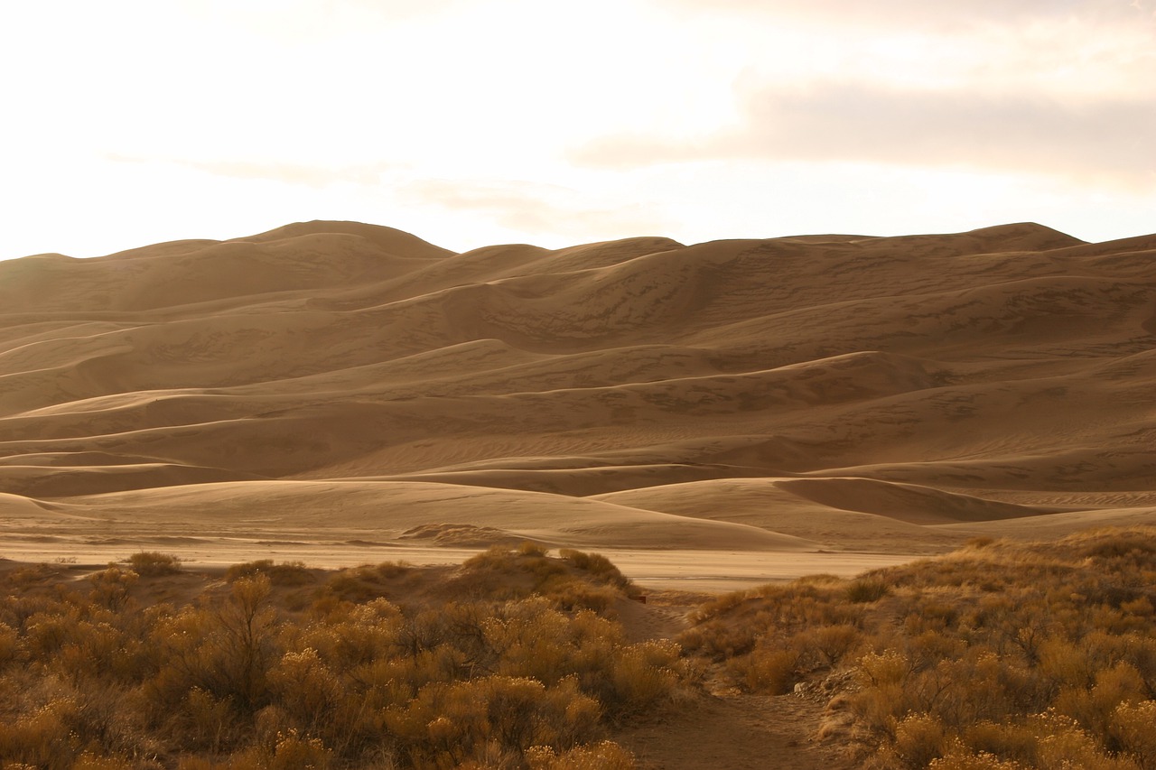 sand  dunes  desert free photo