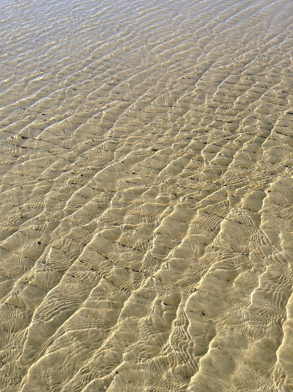 sand pattern waves free photo