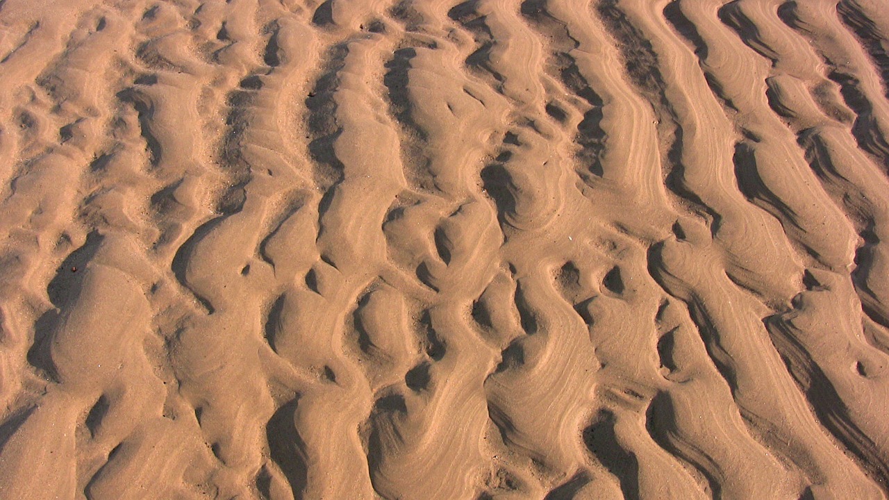 sand beach coast free photo