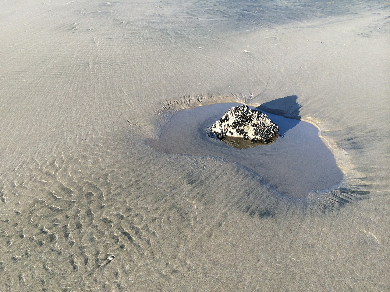 sand beach coast free photo