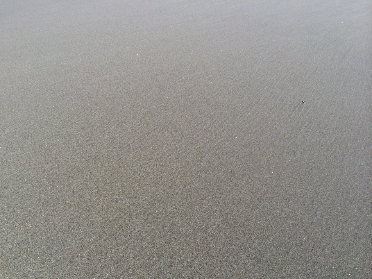 sand beach coast free photo