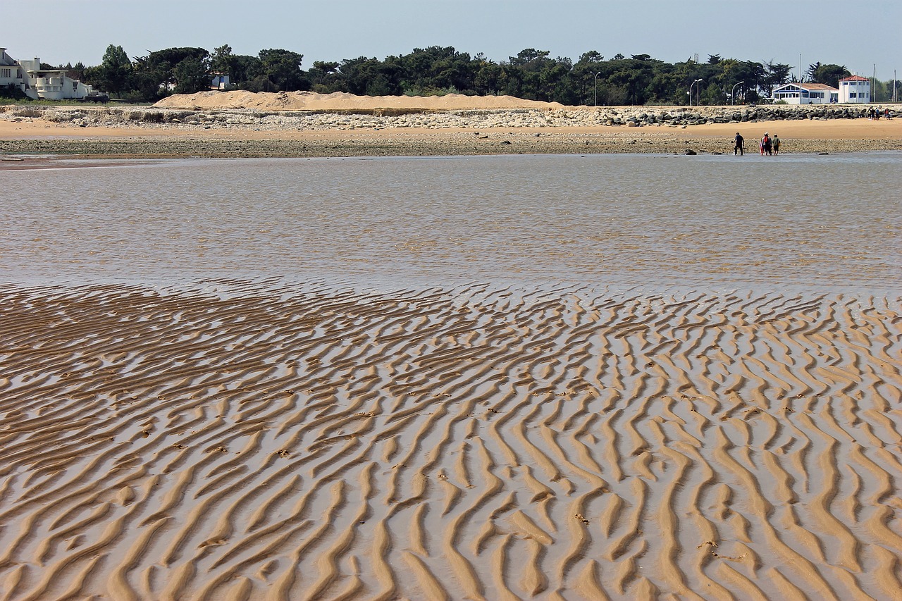 sand sea beach free photo