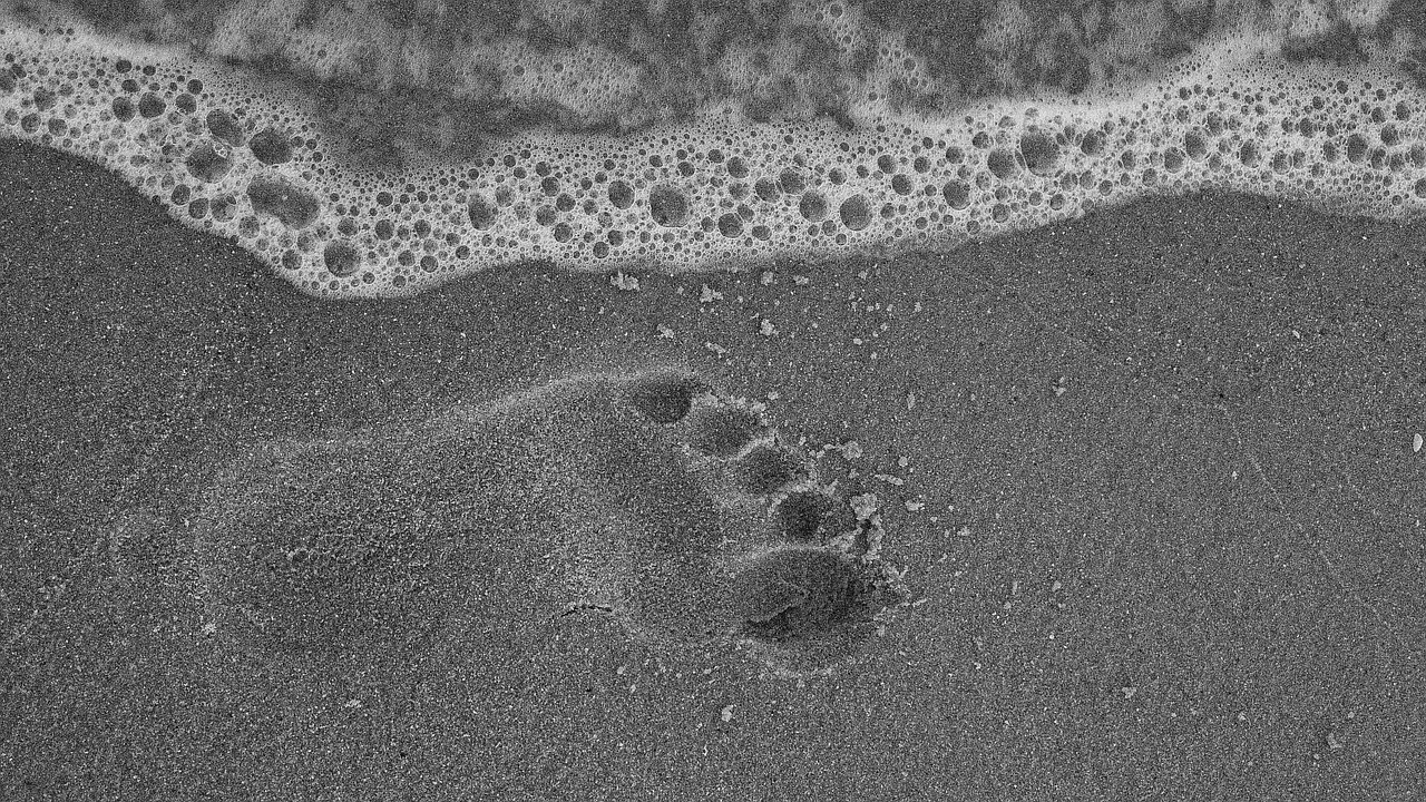 sand footprint water free photo