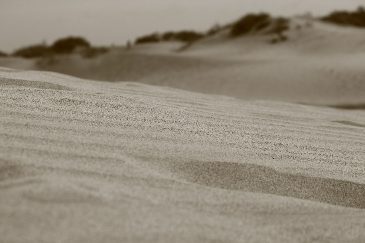 sand desert dune free photo