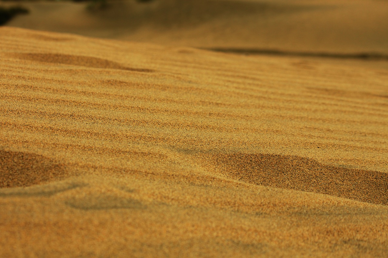 sand grit desert free photo